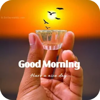 ✋ Daily Use @Sumit_Official_01, sticker Telegram 19 sur 118