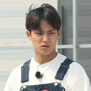 🎲 🎰༄. ꒰Kim Mingyu꒱ @sejarahujan, Telegram sticker 19 of 45