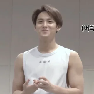🐶 kim mingyu, стикер Telegram 16 из 46