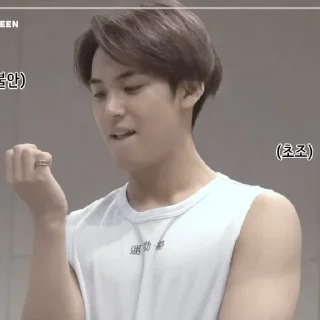 🐶 kim mingyu, стикер Telegram 6 из 46