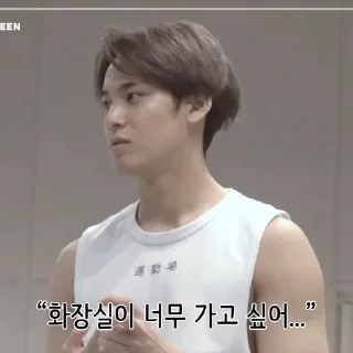 🐶 kim mingyu, стикер Telegram 11 из 46