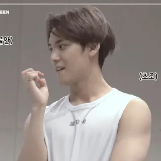🐶 kim mingyu, стикер Telegram 2 из 46