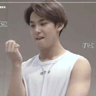 🐶 kim mingyu, стикер Telegram 5 из 46