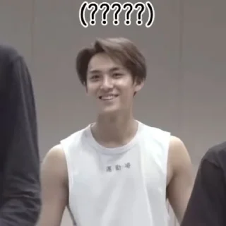 🐶 kim mingyu, стикер Telegram 20 из 46