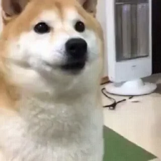 宝正精出海 @BZJ007