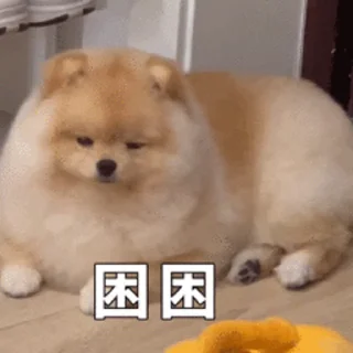 💤 可可爱爱 @wenanji, стікер Telegram 20 з 50