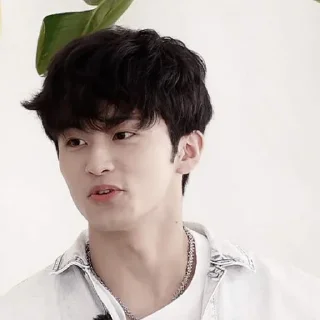 🐯 — mark lee ˖࣪ ·﹆ @gicelyra, Telegram sticker 23 of 50