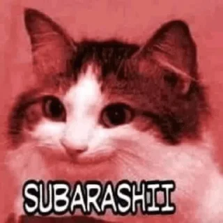 😏 @MFAR198 MEMES COLLECTIONS, Telegram sticker 19 of 120