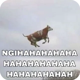 🌟 @nvabil ynna aja sih🫣🫣, sticker Telegram 12 sur 25