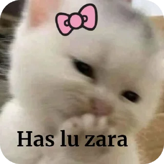 🤲 Khushi🌷✨, стікер Telegram 8 з 97