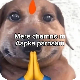 🐶 Khushi🌷✨, стікер Telegram 20 з 97