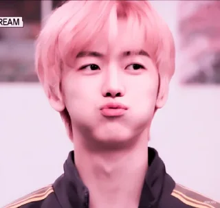 🧸 karelios as jaemin @O2OOBABYJAEMIN, стікер Telegram 10 з 44