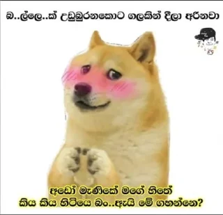 😂 ආතල්, стікер Telegram 5 з 95
