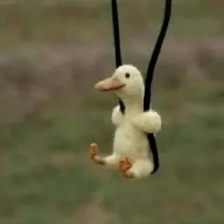 🦆 ㅤ ★ ، ducky @DIARYMONCHYZ, sticker Telegram 24 sur 26