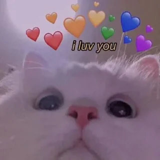 🌜 月、, стикер Telegram 13 из 63