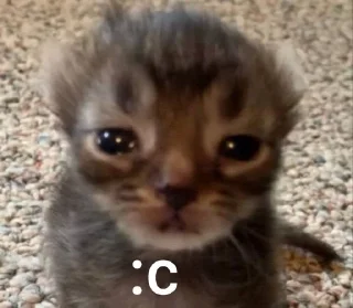 🌟 Stiker hehe @sooyasbeloved, стикер Telegram 24 из 25