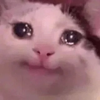 😢 Wholesome, стікер Telegram 13 з 120