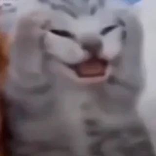 ddd