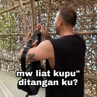 🚬 meme willy dik [sun dlu bleh], стикер Telegram 17 из 31
