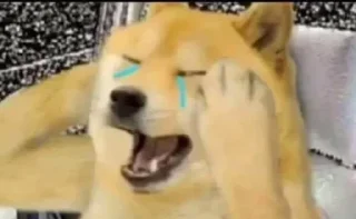 😭 None, стікер Telegram 20 з 120
