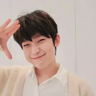 🍓 Sunoo, стикер Telegram 8 из 11