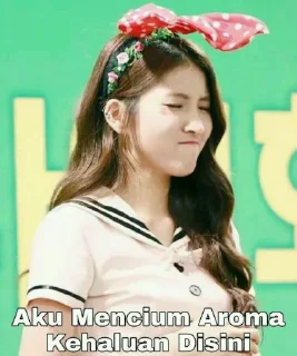 🙈 Meme Gfriend by @Gfriend_Yeochin, стикер Telegram 23 из 25