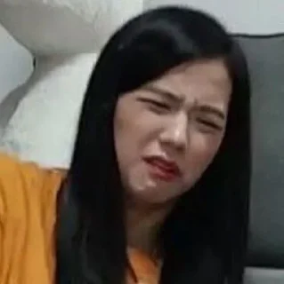‼️ JISOO MEME — @STICKERRPHIKESOT, Telegram sticker 8 of 25