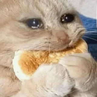 🥺 manojeet, стікер Telegram 7 з 21