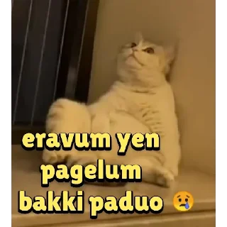 🥺 @Username_illaathavan Vol.8, стикер Telegram 15 из 120