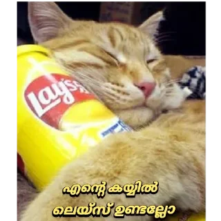 🤓 @Username_illaathavan Vol.2, sticker Telegram 15 sur 120