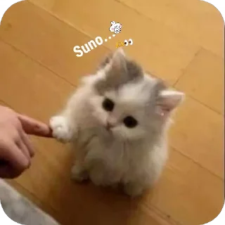 U you cutie