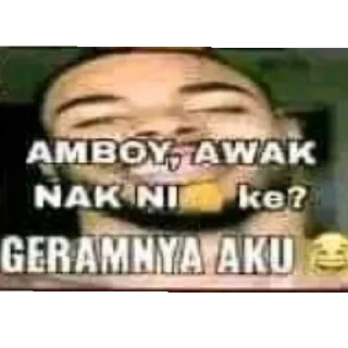 Berotak Pela