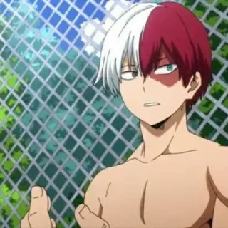 todoroki