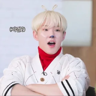 🐻‍❄️ ﹗𝆹  Hoshi ٫ @stickernct ⋆ 𓏲, sticker Telegram 21 sur 40