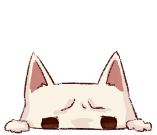 Frown Cat @noustiker