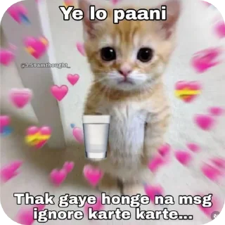 🐱 @CheaterZahid cat&doge pack, sticker Telegram 19 sur 55