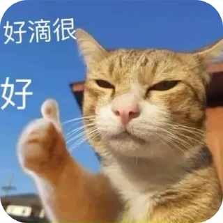 sss