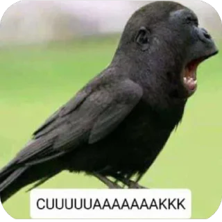 🫥 DANGDUT AKADEMI By Whyyy, стикер Telegram 9 из 48