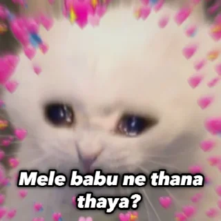 😣 @sojaoaursonedopilis, Telegram sticker 11 of 23