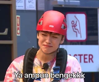🤪 Going Seventeen Ep. 36 (Svtside Out) @hOOMANTEEN, Telegram sticker 21 of 34