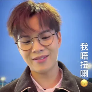 🌟 要峯Duck峯 Vol. 1, стикер Telegram 24 из 50