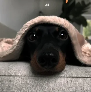 💋 маруся, стикер Telegram 18 из 55
