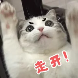 🙊 o_O®泡芙, стикер Telegram 17 из 90