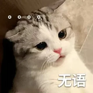 🙊 o_O®泡芙, стикер Telegram 6 из 90
