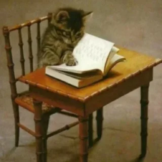 📕 ◦•●◉✿Sticker✿◉●•◦, стикер Telegram 13 из 120