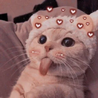 ☺️ Punjabi, стикер Telegram 11 из 71