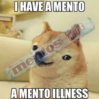 doge