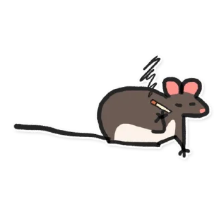 Rats