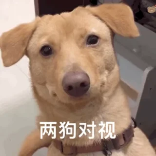 🤨 金边会所外送上门👉🏻 @iittt, стикер Telegram 15 из 48