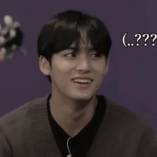 MINGYU ┼╌ׄ @PARTNERMU